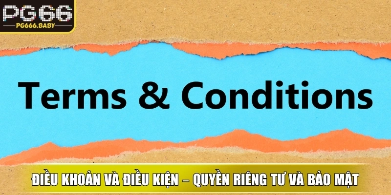 Điều khoản và điều kiện – Quyền riêng tư và bảo mật